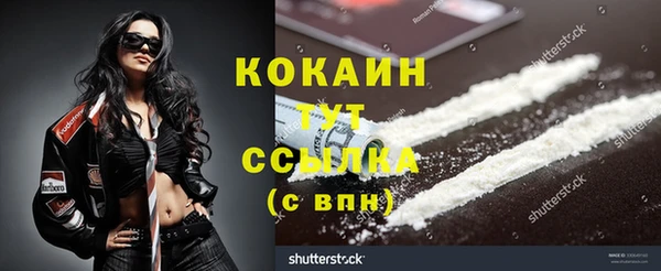 стаф Аркадак
