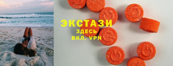 стаф Аркадак