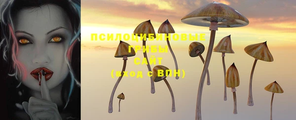 ECSTASY Балабаново
