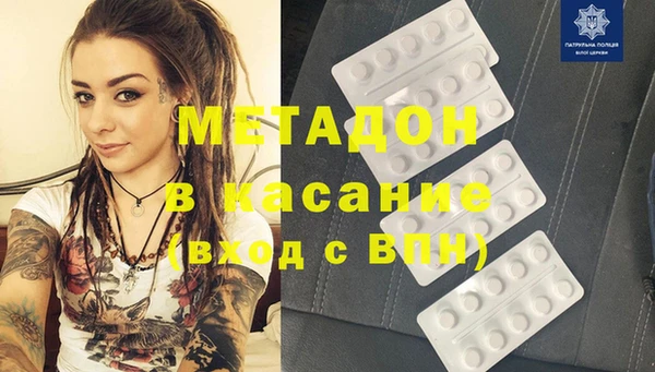 стаф Аркадак