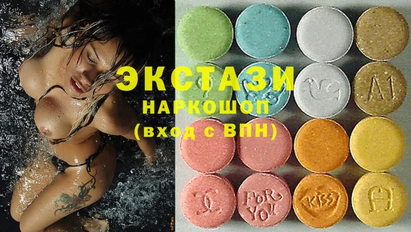 стаф Аркадак