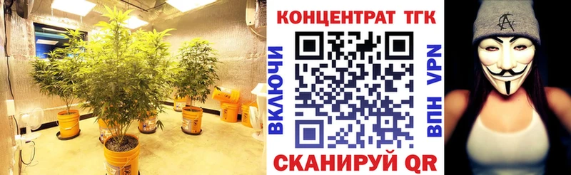 даркнет сайт  Строитель  Дистиллят ТГК гашишное масло 