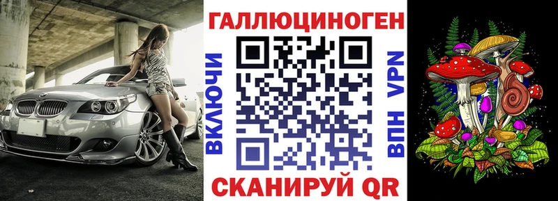 магазин    Строитель  Псилоцибиновые грибы Psilocybe 